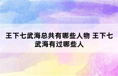 王下七武海总共有哪些人物 王下七武海有过哪些人